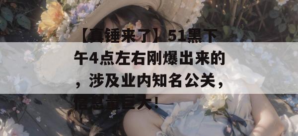 【真锤来了】51黑下午4点左右刚爆出来的，涉及业内知名公关，信息量巨大！